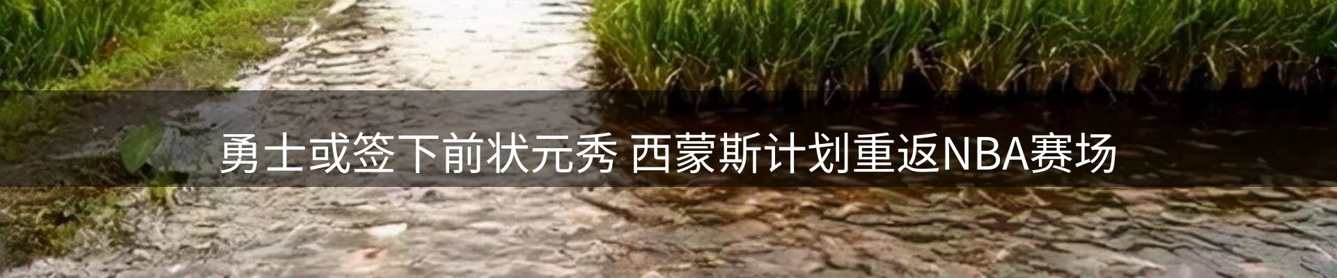 综合资讯